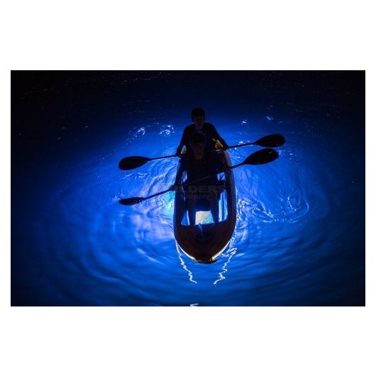 Deep Glow Underwater Dock Light - Blue Bulb with 50' Cord