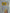 GEM GR-P1 Single Motor Remote for PWC Lifts