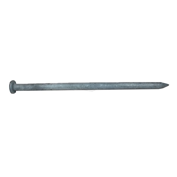 60d (6") Common Nails, Galvanized (25 lb. Box)