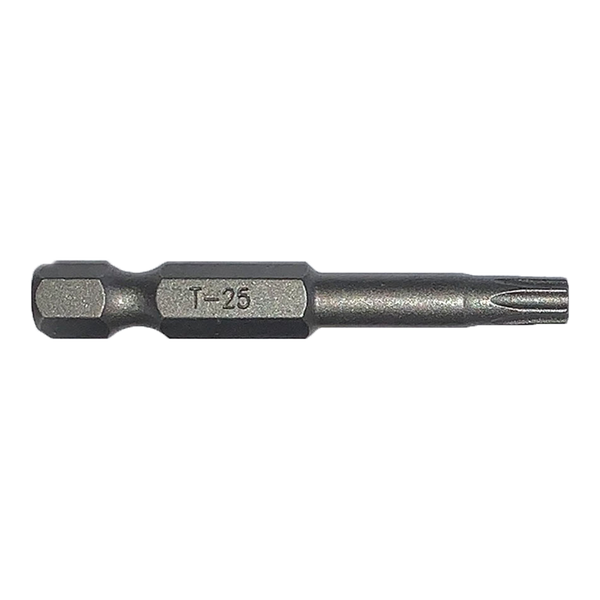 Driver/Bit - T-25 Torx, 2" long
