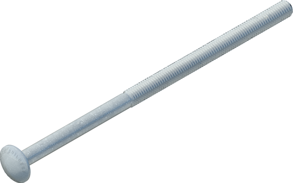 1/2" x 10" Carriage Bolt, Galvanized