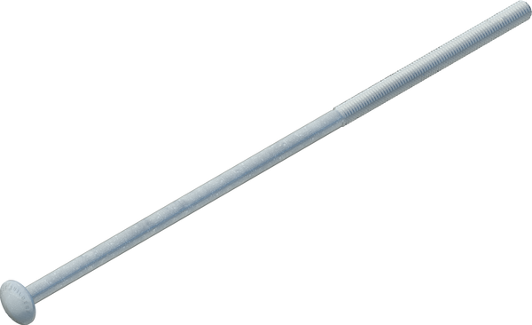 1/2" x 16" Carriage Bolt, Galvanized