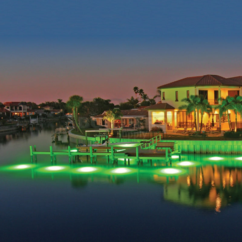 Underwater & Fish Attraction Lights