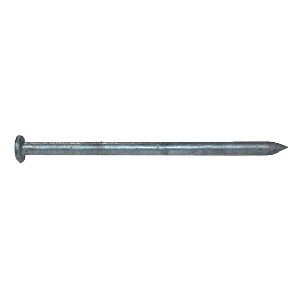 20d (4") Common Nails, Galvanized (50 lb. Box)