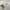 Eaton LED Replacement Bulb  - MPLLEDB